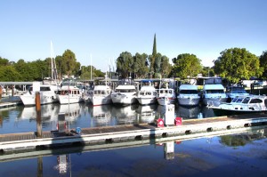 Delta Marina